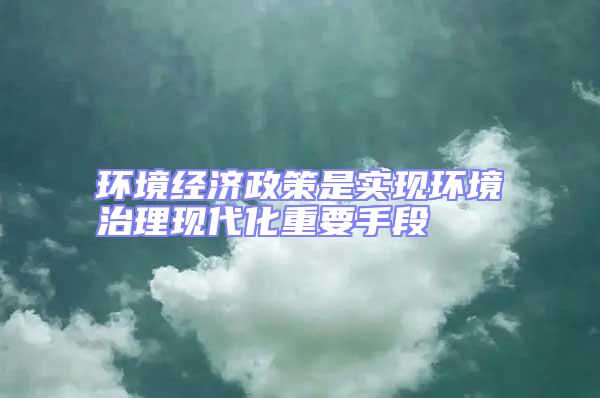 環(huán)境經(jīng)濟(jì)政策是實(shí)現(xiàn)環(huán)境治理現(xiàn)代化重要手段