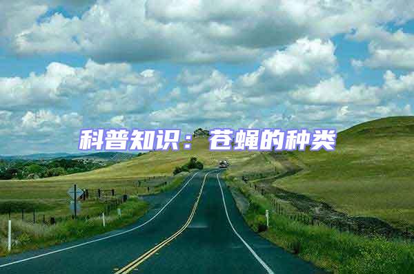 科普知識：蒼蠅的種類
