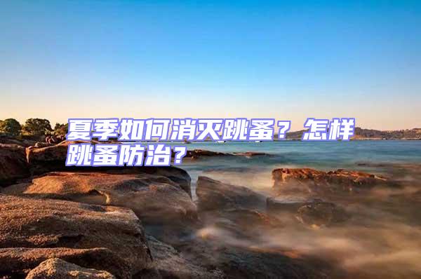 夏季如何消滅跳蚤？怎樣跳蚤防治？
