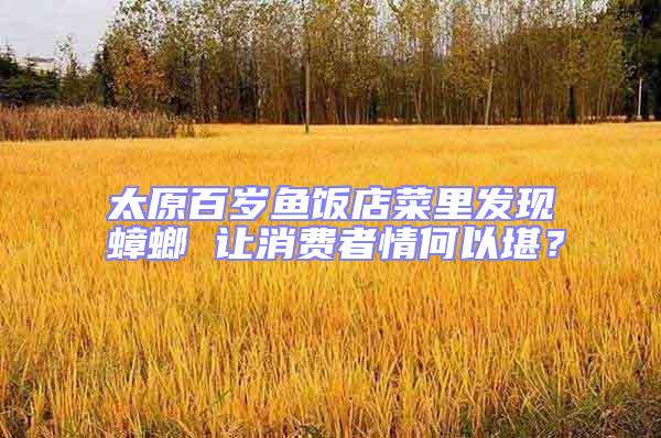 太原百歲魚飯店菜里發現蟑螂 讓消費者情何以堪？