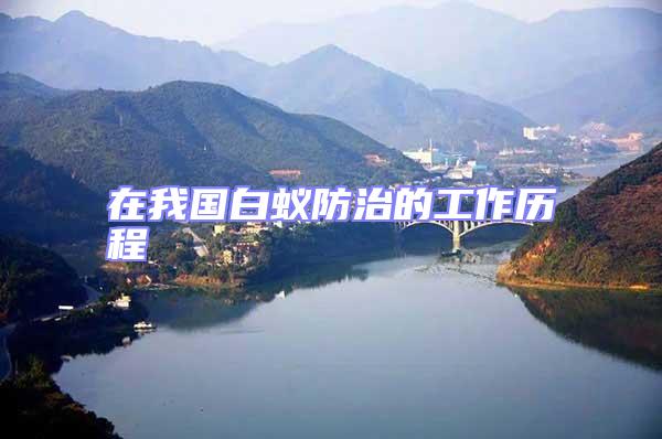 在我國(guó)白蟻防治的工作歷程