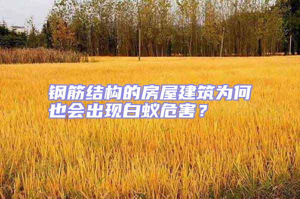 鋼筋結(jié)構(gòu)的房屋建筑為何也會出現(xiàn)白蟻危害？