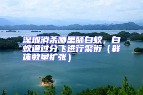 深圳消殺哪里脎白蟻，白蟻通過分飛進行繁衍（群體數量擴張）