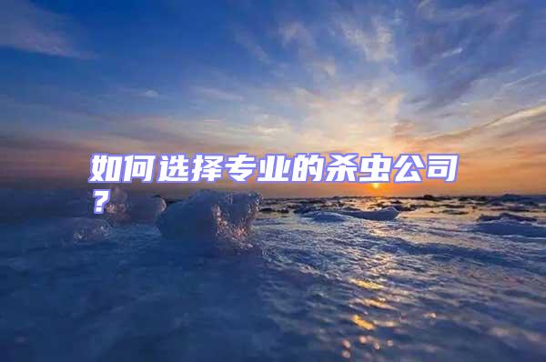 如何選擇專業的殺蟲公司？