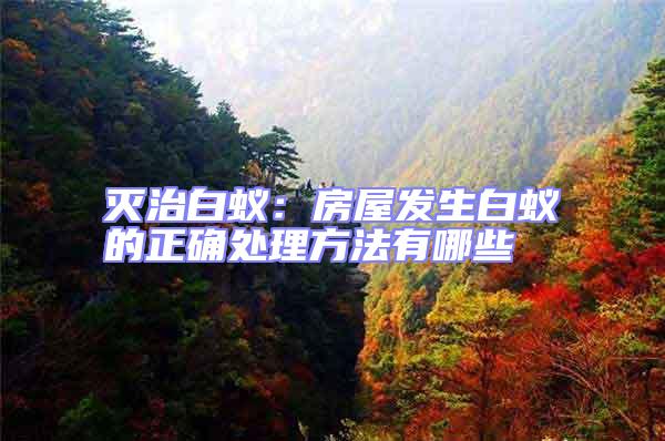 滅治白蟻：房屋發生白蟻的正確處理方法有哪些