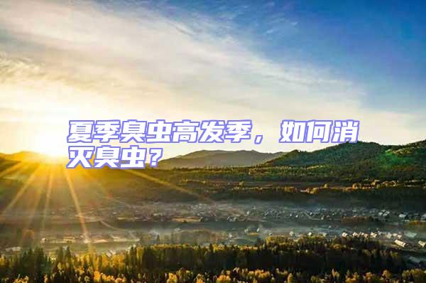 夏季臭蟲高發季，如何消滅臭蟲？