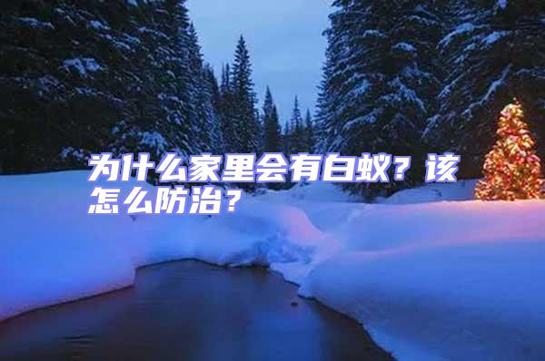 為什么家里會(huì)有白蟻？該怎么防治？