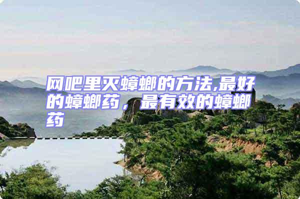 網吧里滅蟑螂的方法,最好的蟑螂藥，最有效的蟑螂藥