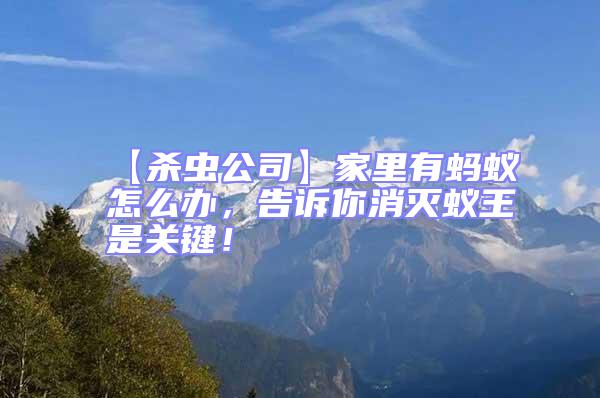 【殺蟲公司】家里有螞蟻怎么辦，告訴你消滅蟻王是關鍵！
