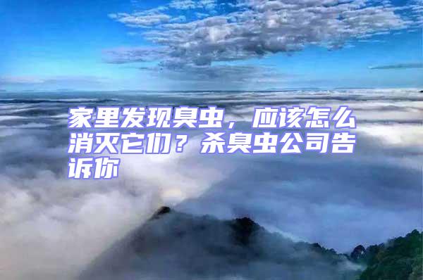 家里發現臭蟲，應該怎么消滅它們？殺臭蟲公司告訴你