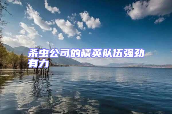 殺蟲公司的精英隊伍強(qiáng)勁有力