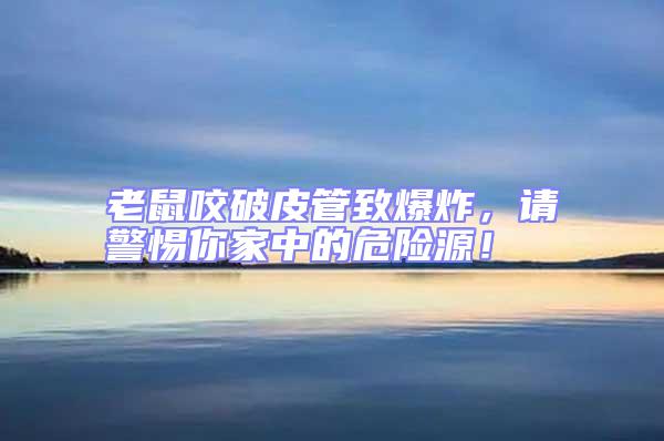 老鼠咬破皮管致爆炸，請警惕你家中的危險源！