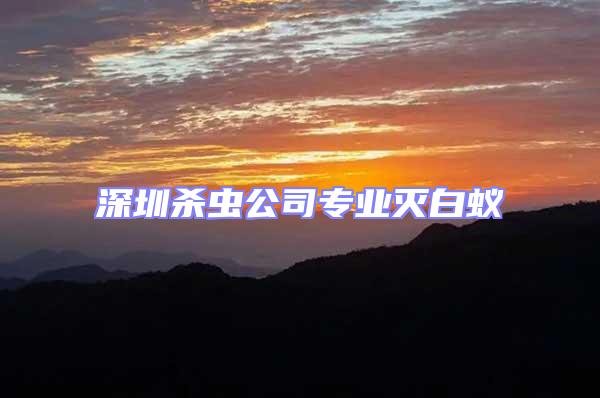 深圳殺蟲公司專業(yè)滅白蟻