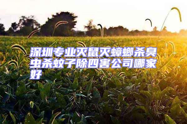 深圳專業滅鼠滅蟑螂殺臭蟲殺蚊子除四害公司哪家好