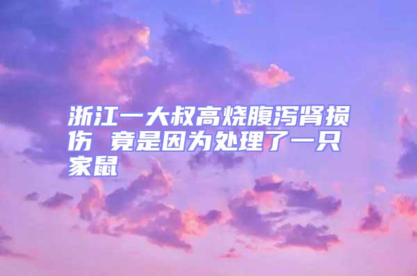 浙江一大叔高燒腹瀉腎損傷 竟是因為處理了一只家鼠