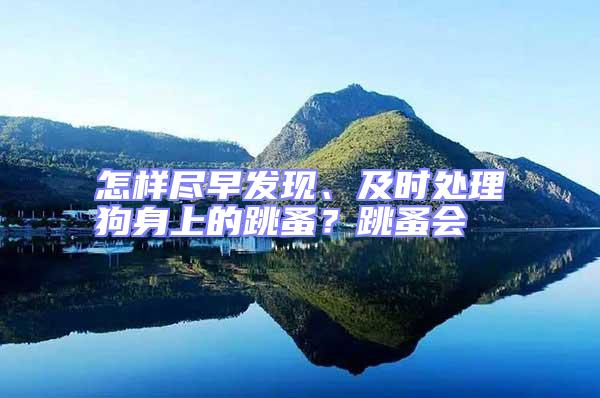 怎樣盡早發(fā)現(xiàn)、及時(shí)處理狗身上的跳蚤？跳蚤會(huì)