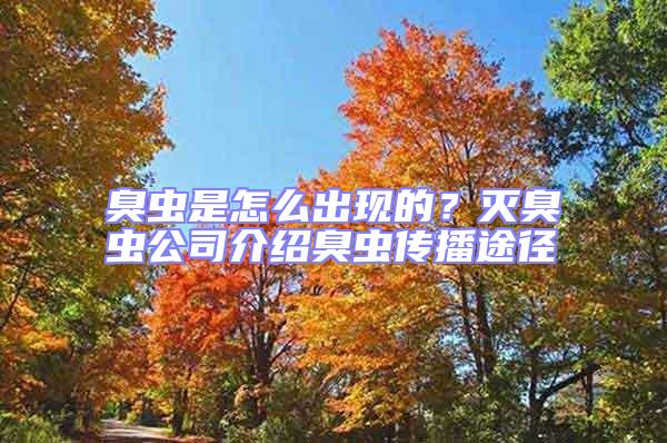 臭蟲是怎么出現(xiàn)的？滅臭蟲公司介紹臭蟲傳播途徑