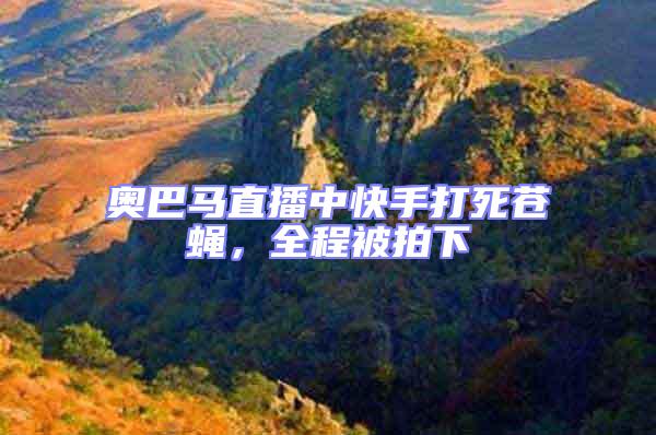 奧巴馬直播中快手打死蒼蠅，全程被拍下