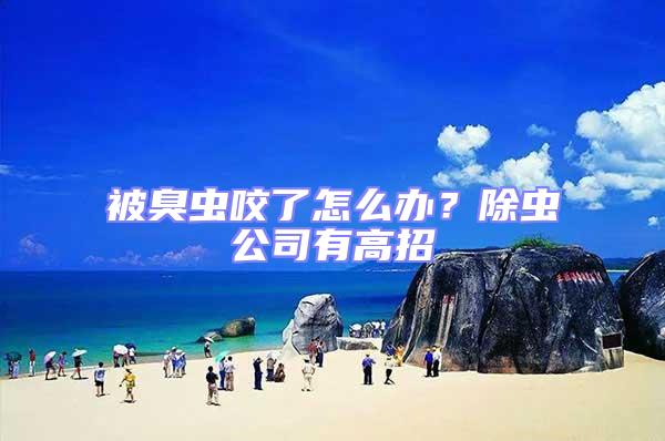被臭蟲咬了怎么辦？除蟲公司有高招