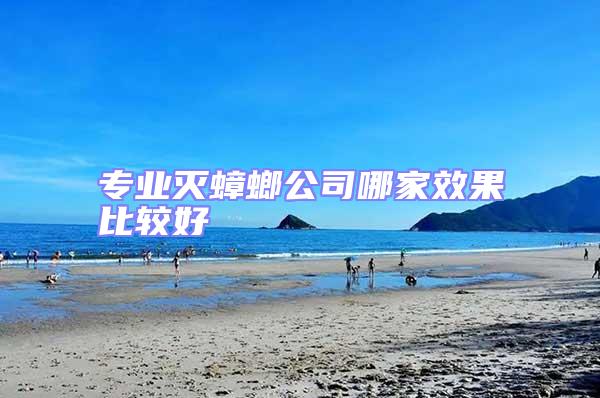 專業滅蟑螂公司哪家效果比較好