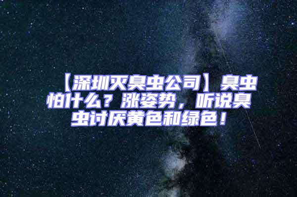 【深圳滅臭蟲公司】臭蟲怕什么？漲姿勢，聽說臭蟲討厭黃色和綠色！