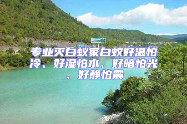 專業滅白蟻家白蟻好溫怕冷、好濕怕水、好暗怕光、好靜怕震