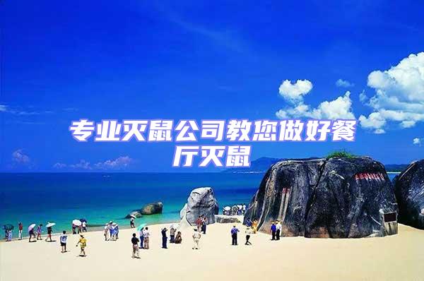 專業(yè)滅鼠公司教您做好餐廳滅鼠