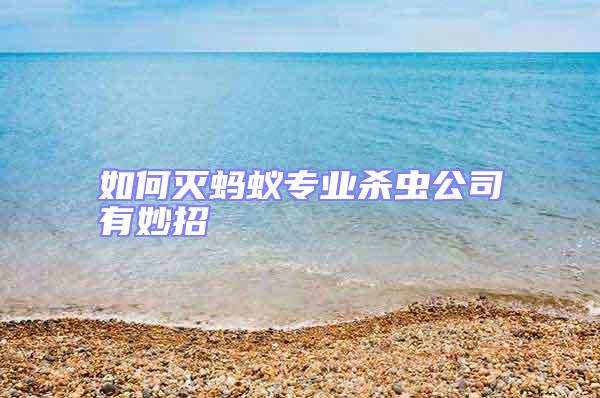 如何滅螞蟻專業(yè)殺蟲(chóng)公司有妙招