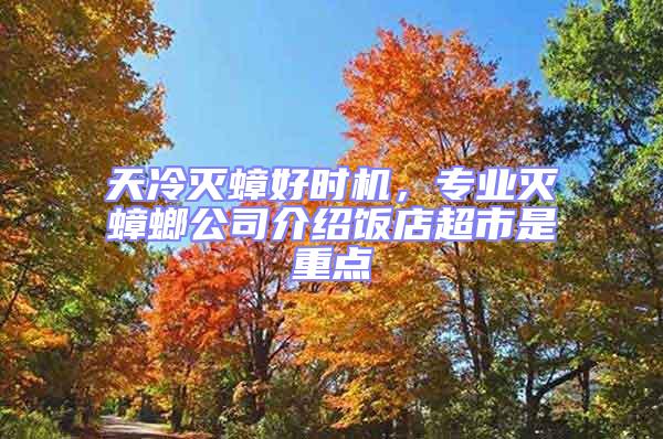 天冷滅蟑好時機，專業滅蟑螂公司介紹飯店超市是重點