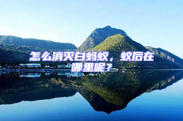 怎么消滅白螞蟻，蟻后在哪里呢？