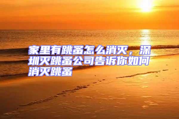 家里有跳蚤怎么消滅，深圳滅跳蚤公司告訴你如何消滅跳蚤