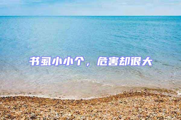 書虱小小個，危害卻很大
