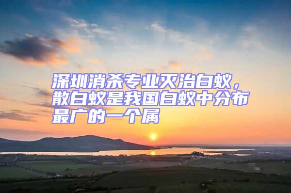深圳消殺專業滅治白蟻，散白蟻是我國白蟻中分布最廣的一個屬