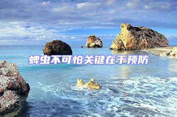 蜱蟲不可怕關鍵在于預防