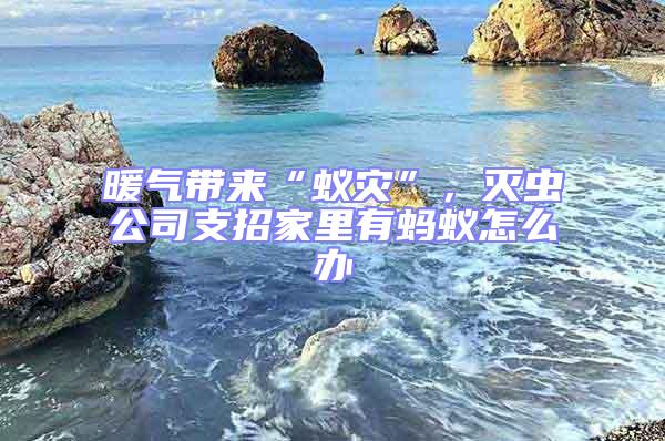 暖氣帶來(lái)“蟻災(zāi)”，滅蟲(chóng)公司支招家里有螞蟻怎么辦