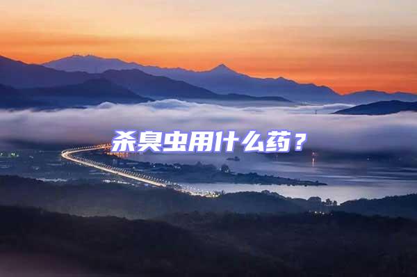 殺臭蟲用什么藥？