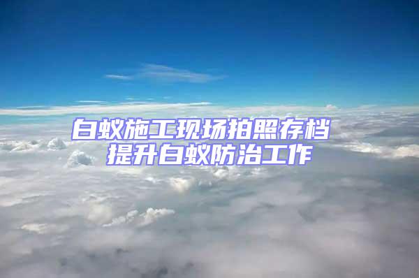 白蟻施工現(xiàn)場(chǎng)拍照存檔 提升白蟻防治工作