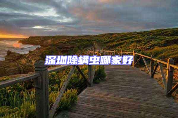 深圳除螨蟲哪家好