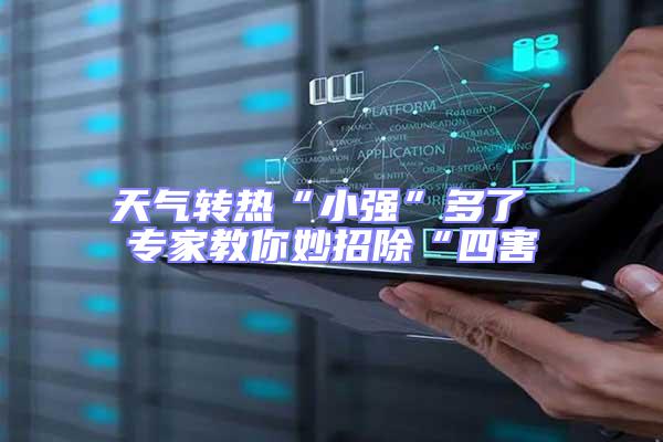 天氣轉(zhuǎn)熱“小強”多了 專家教你妙招除“四害