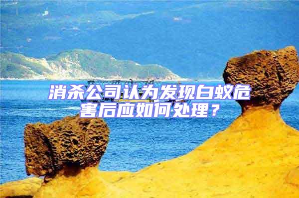 消殺公司認為發現白蟻危害后應如何處理？
