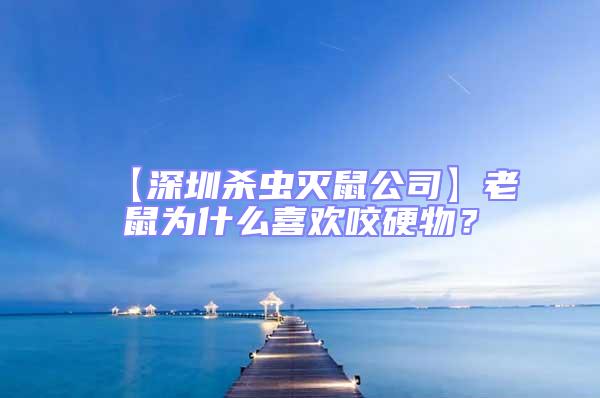 【深圳殺蟲滅鼠公司】老鼠為什么喜歡咬硬物？