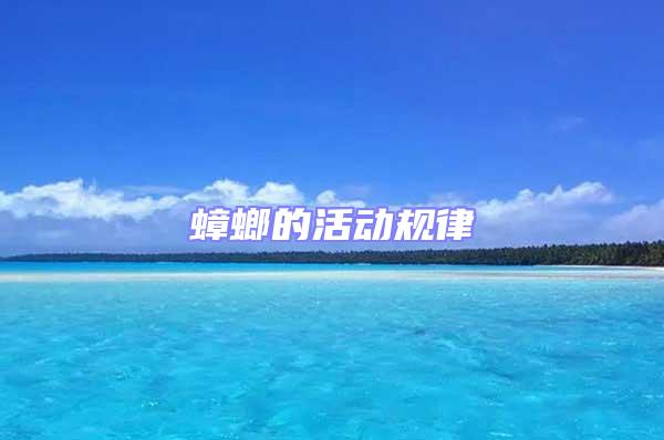 蟑螂的活動規律