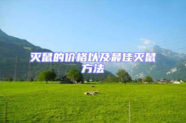 滅鼠的價(jià)格以及最佳滅鼠方法