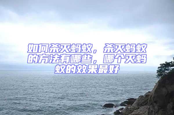 如何殺滅螞蟻，殺滅螞蟻的方法有哪些，哪個滅螞蟻的效果最好