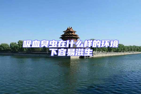 吸血臭蟲在什么樣的環(huán)境下容易滋生