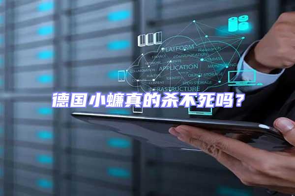 德國小蠊真的殺不死嗎？