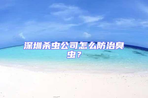 深圳殺蟲公司怎么防治臭蟲？