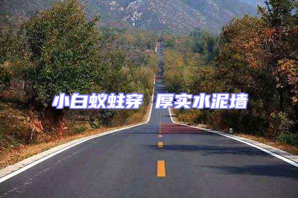 小白蟻蛀穿 厚實水泥墻