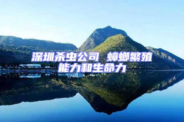 深圳殺蟲公司 蟑螂繁殖能力和生命力