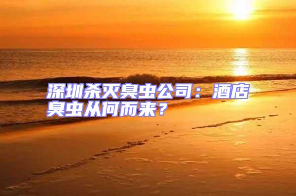 深圳殺滅臭蟲公司：酒店臭蟲從何而來？